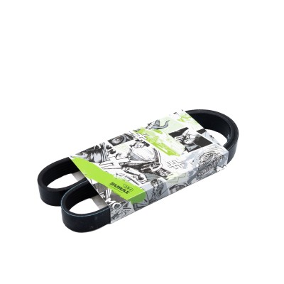 Ремень поликлиновой 6PK962 Ford Focus III (11-) 1.5/1.6 TDCi (SRS 73035) SURAI