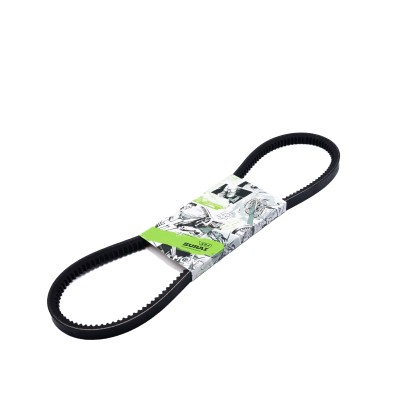 Ремень зубчатый AVX13X900 ГАЗель Бизнес (умз. 4216) (SR 04829) SURAI