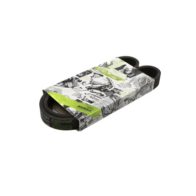 Ремень поликлиновой 5PK868E Ford Focus II (05-) ELAST А/С компр. (SRS 73033) SURAI